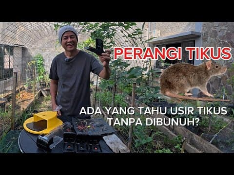 Thumbnail video Perang dengan Tikus Yang menggangu Slow Living ku