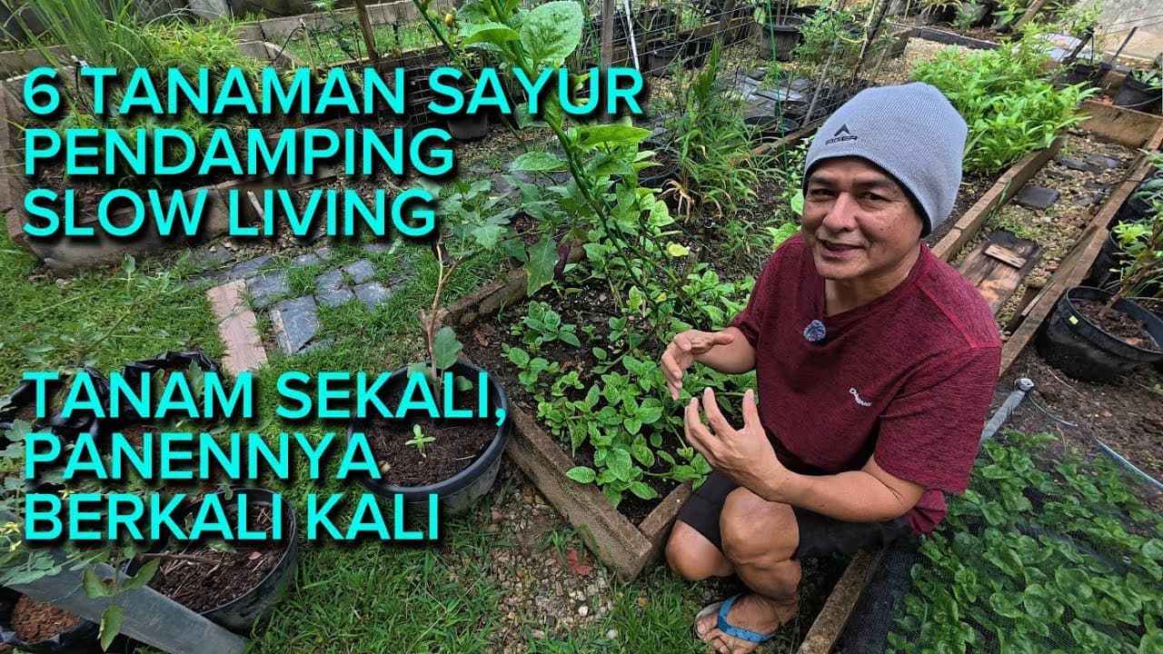 Thumbnail video 6 Tanaman Sayur Anti Gagal Pendamping Slow Living