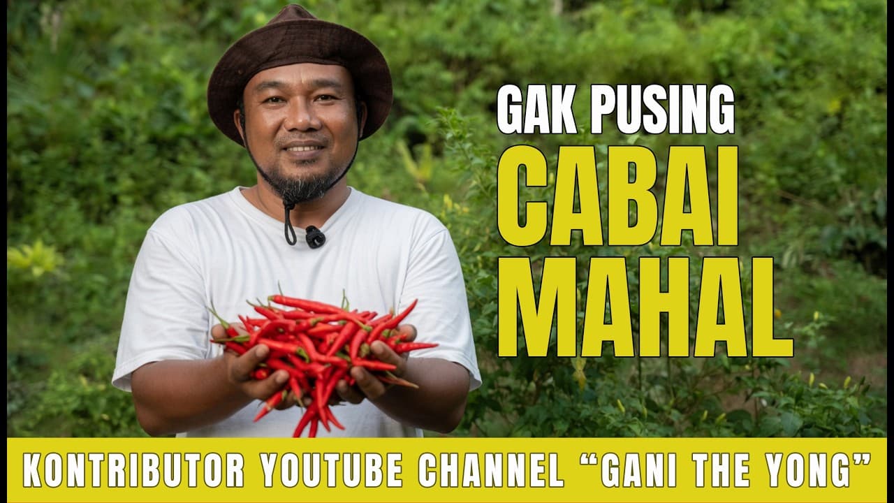 Thumbnail video SOLUSI Mandiri Saat Harga Cabai Melambung Tinggi | Kang Awi Kangean Episode 016