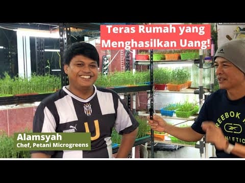 Thumbnail video Teras Rumah Yang Menghasilkan Uang by Chef sekaligus Petani Microgreens, AlamSyah.